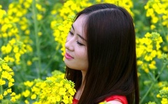 疯狂主妇大采购